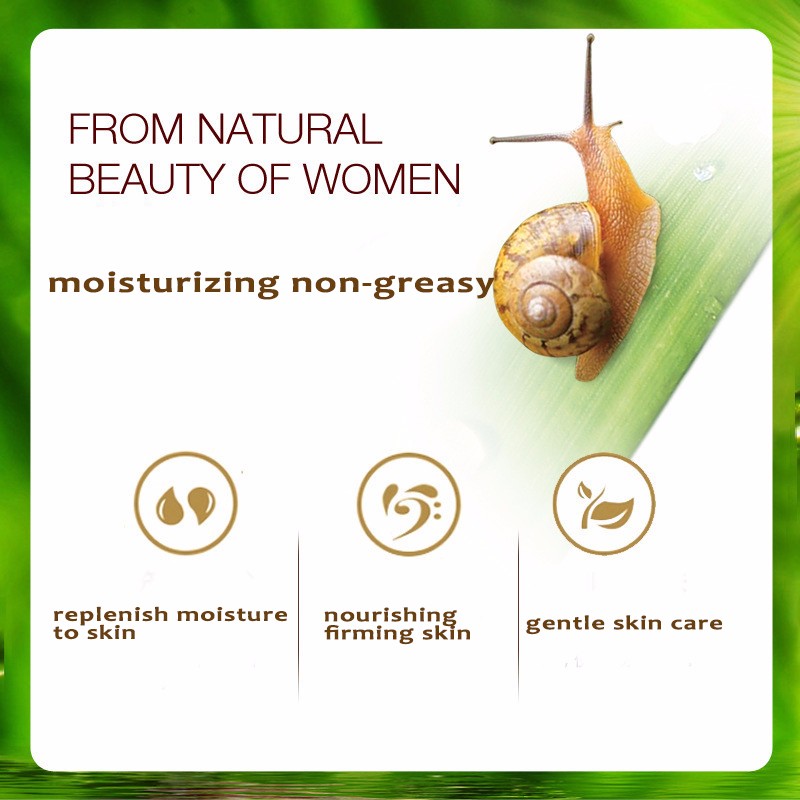 Snail Extract Anti Chapping Anti Aging Firming Lotion